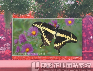 P10 outdoor full color HD screen