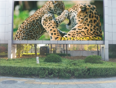 P8戶(hù)外全彩LED顯示屏